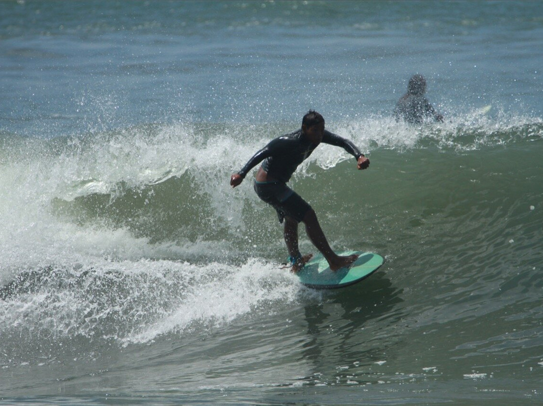 Canggu Surf School & Tours景点图片