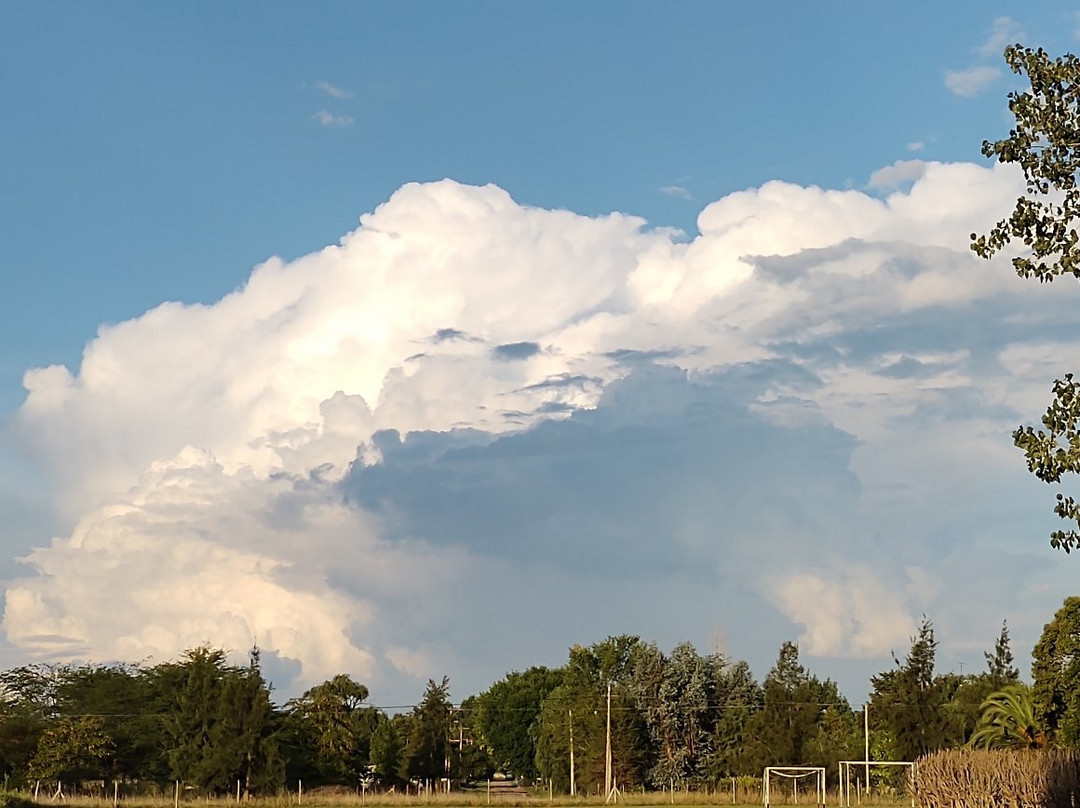 La Casona Italiana主图