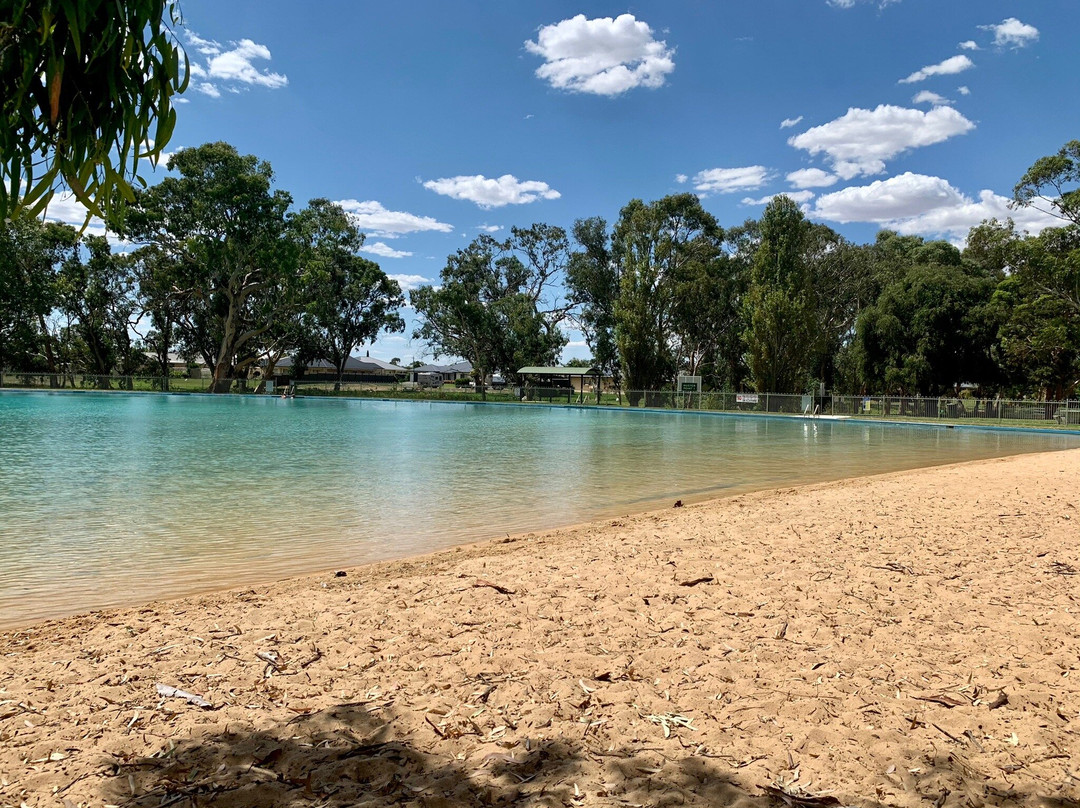 Naracoorte Swimming Lake景点图片