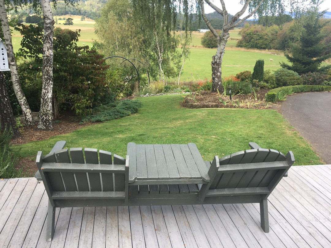 Mole Creek Hideaway主图