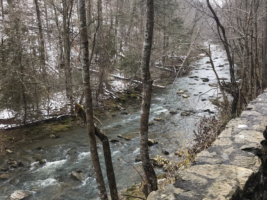 Natural Bridge Zoo-天然桥必去景点