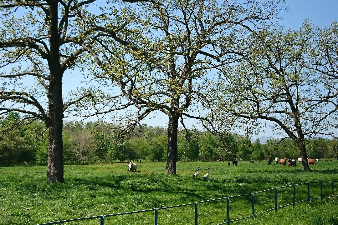 Tokachi Farm Observatory-音更町必去景点