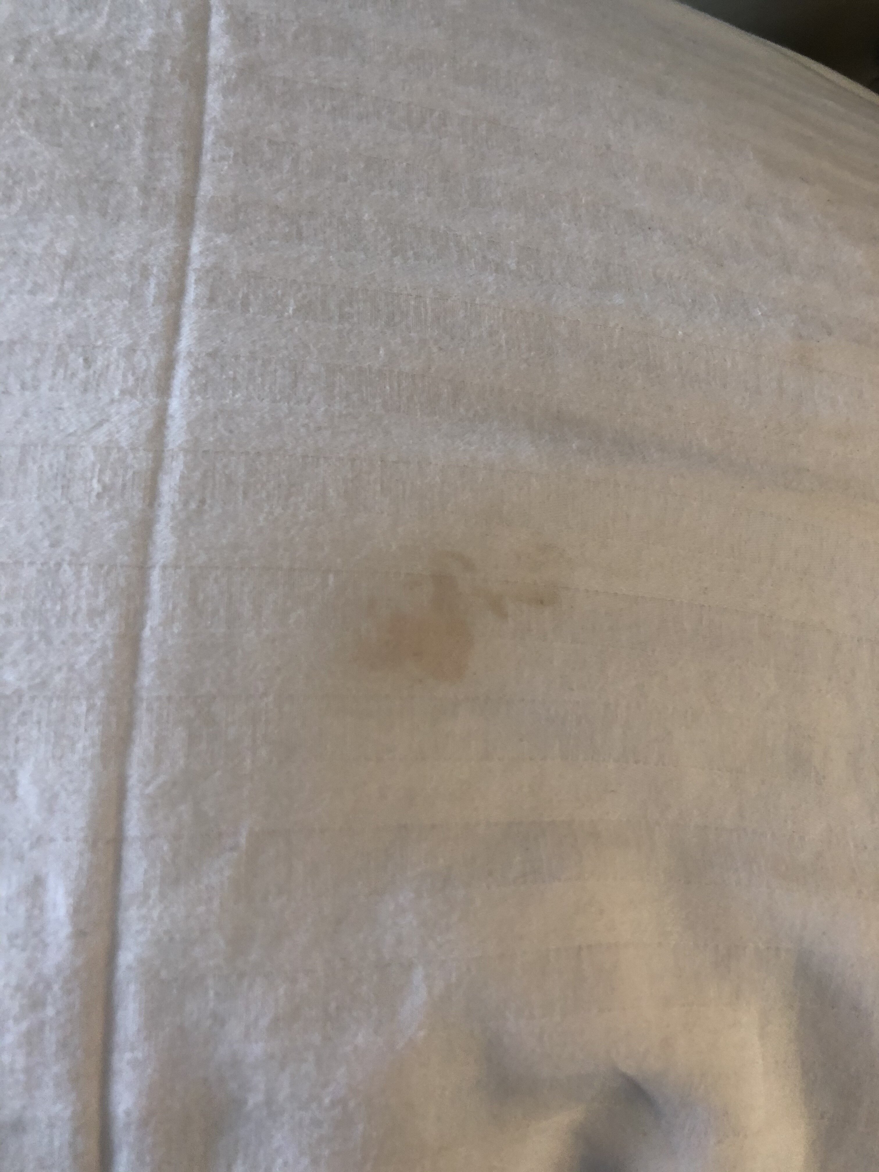 Millennium Inn-官方