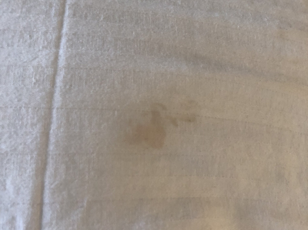 Millennium Inn主图