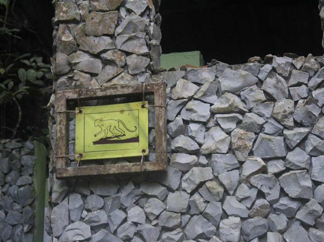 Río Claro Valley-麦德林必去景点