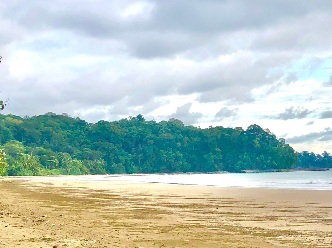 Dominicalito Beach景点图片