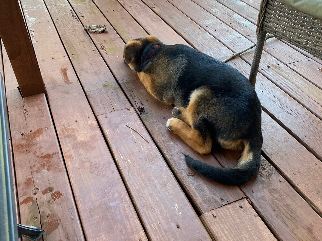 The Carriage House Inn主图