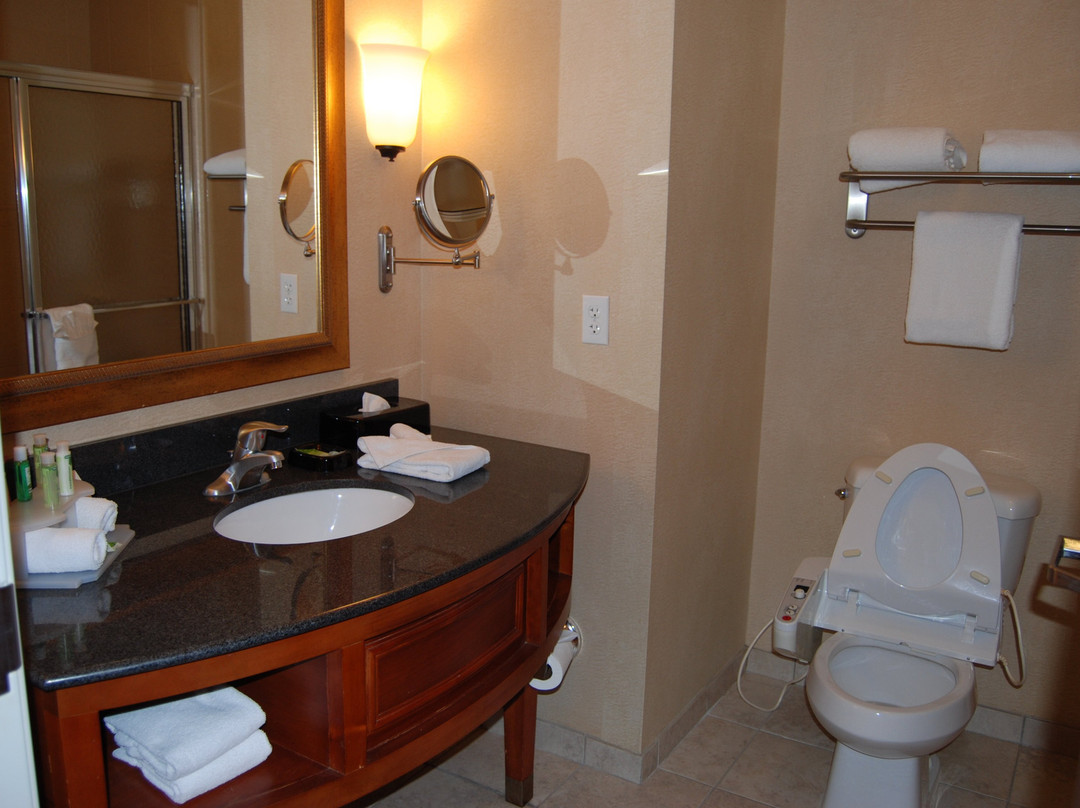 Holiday Inn Express & Suites Auburn Hills By IHG主图