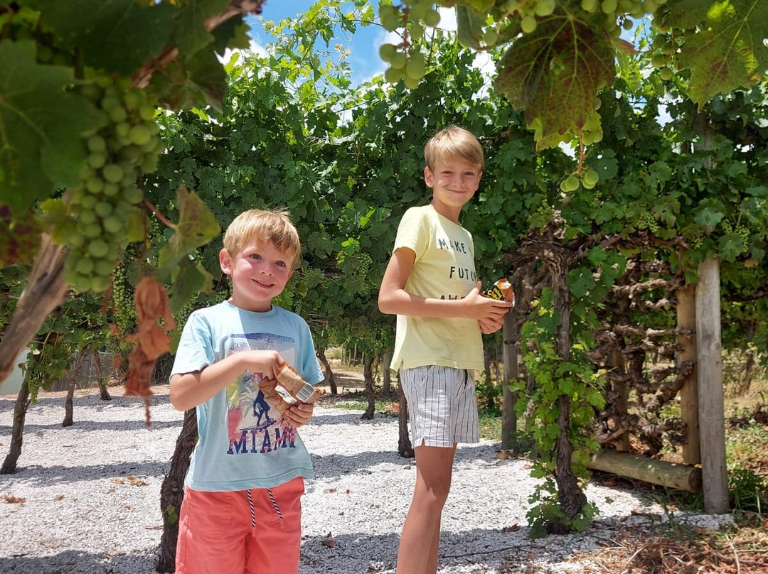 South Hill Elgin, self catering Accommodation & Guest House Villa, Western Cape主图