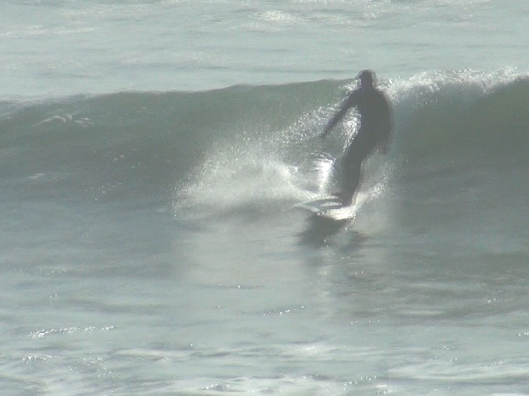 Pleasure Point Beach-圣克鲁斯必去景点