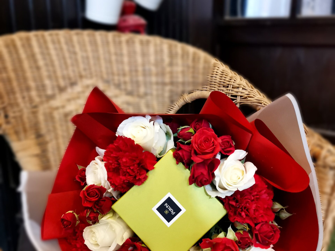 Shams (Aizhar Waifrah)-Tabouk必去景点