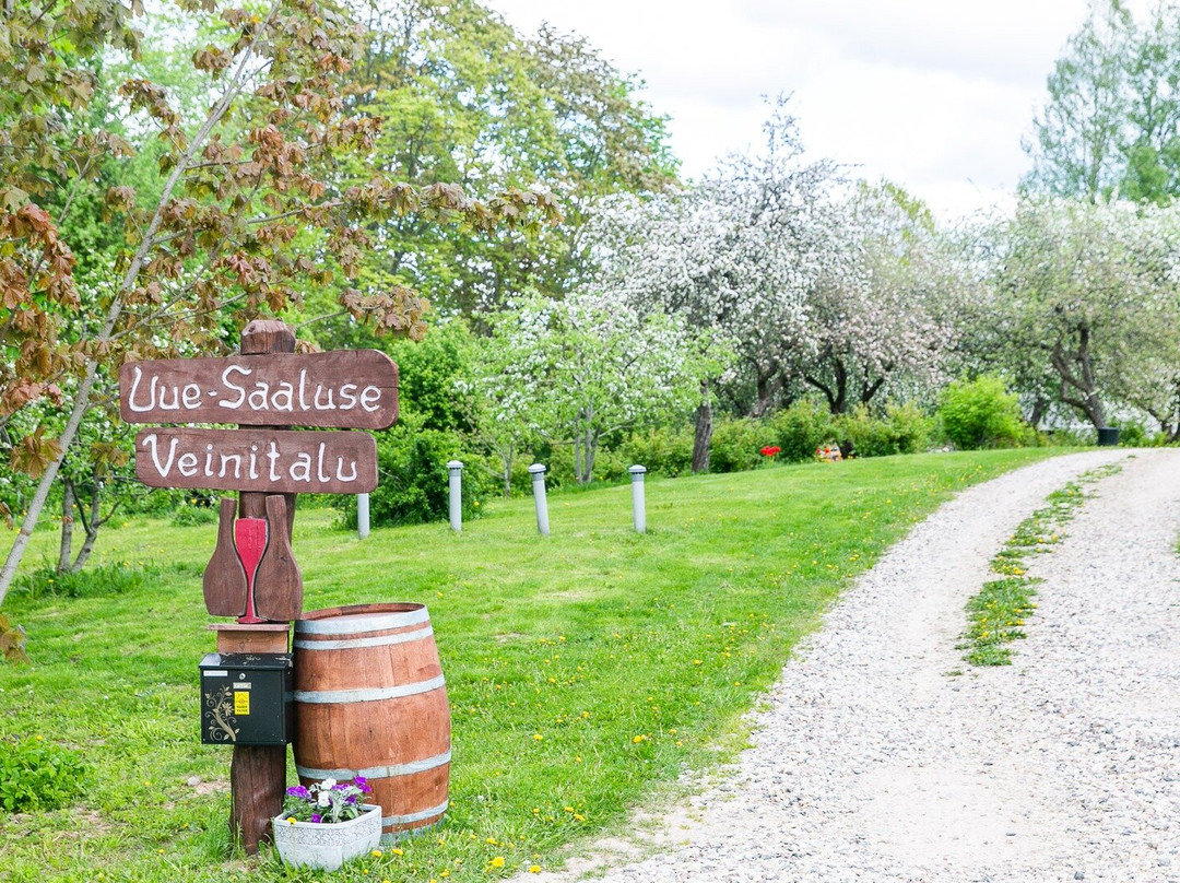 Uue-Saaluse Winery-Haanja必去景点