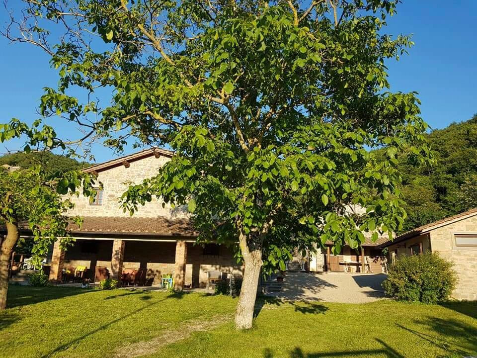 Agricola Pignano - l'agriturismo主图