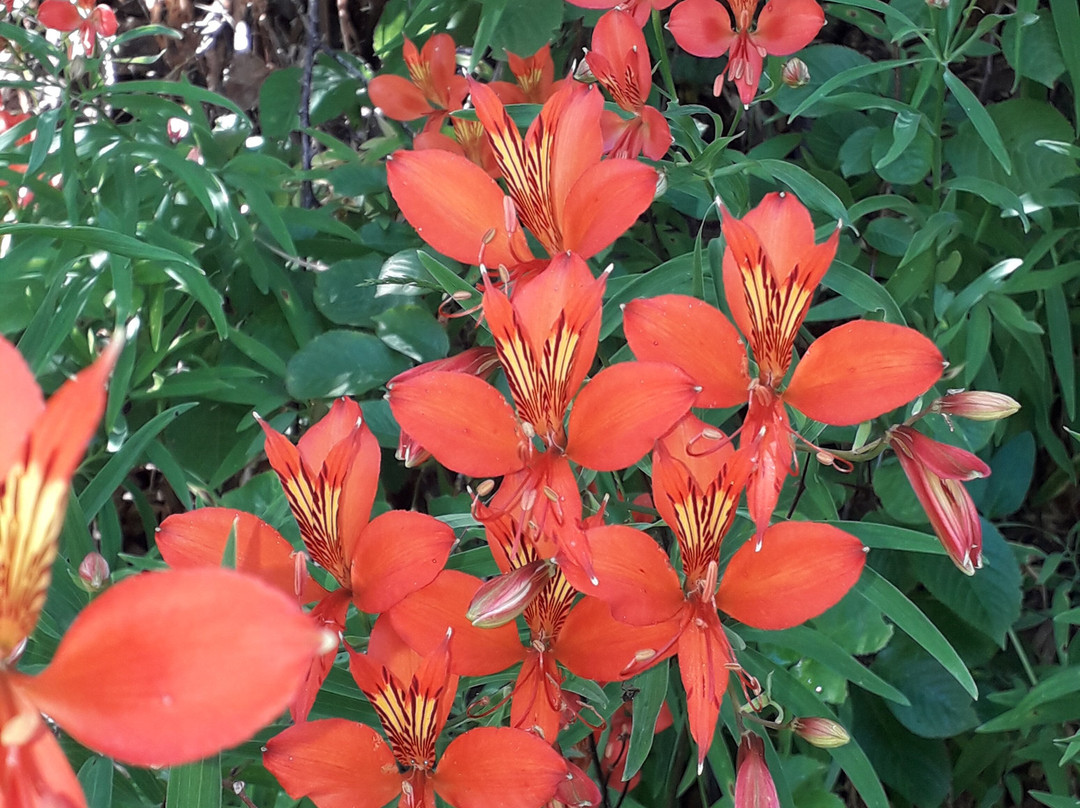 Cabañas Recinto & Spa主图