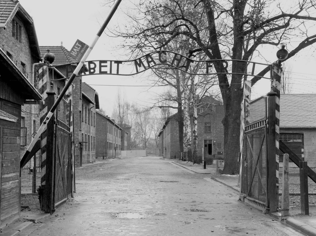 Auschwitz Tour - Krakow Discovery