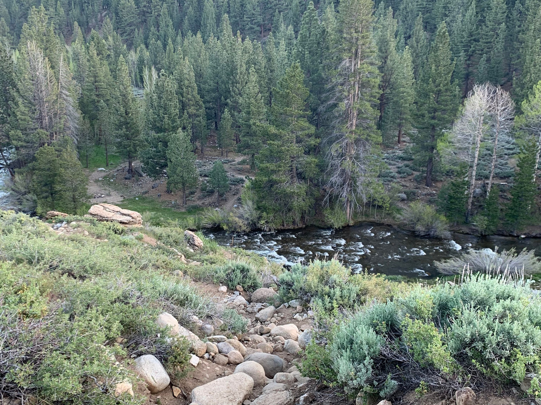Buckeye Hot Spring-布里奇波特必去景点