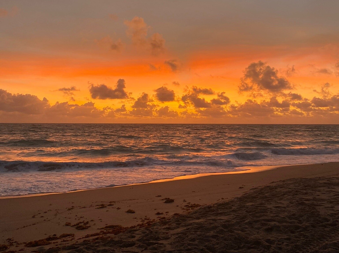 Juno Beach Park-朱诺海滩必去景点