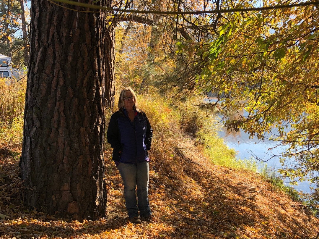 The Victorian Motel and RV Park主图