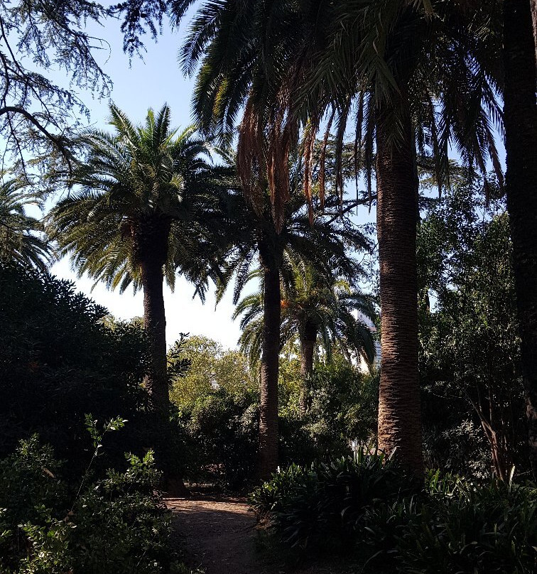 Parque de Can Solei i Ca l'Arnus景点图片