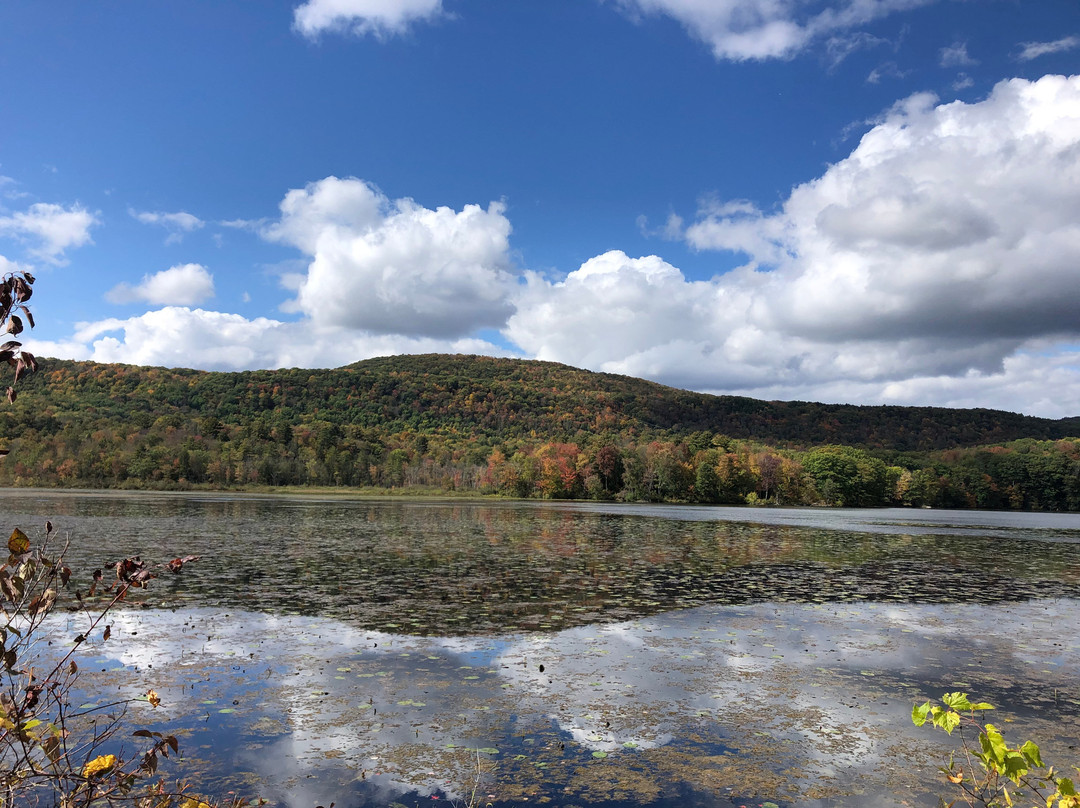 Ashuwillticook Rail Trail-Adams必去景点