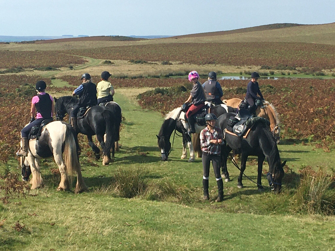 Freerein Riding Holidays-Clyro必去景点