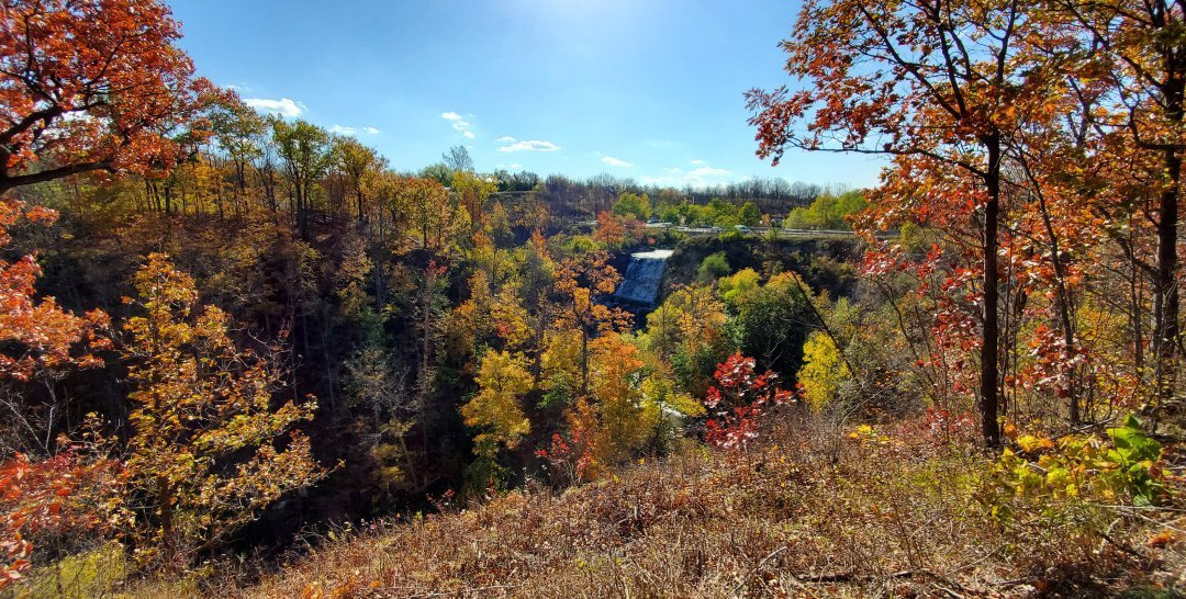 Albion Falls-汉密尔顿必去景点