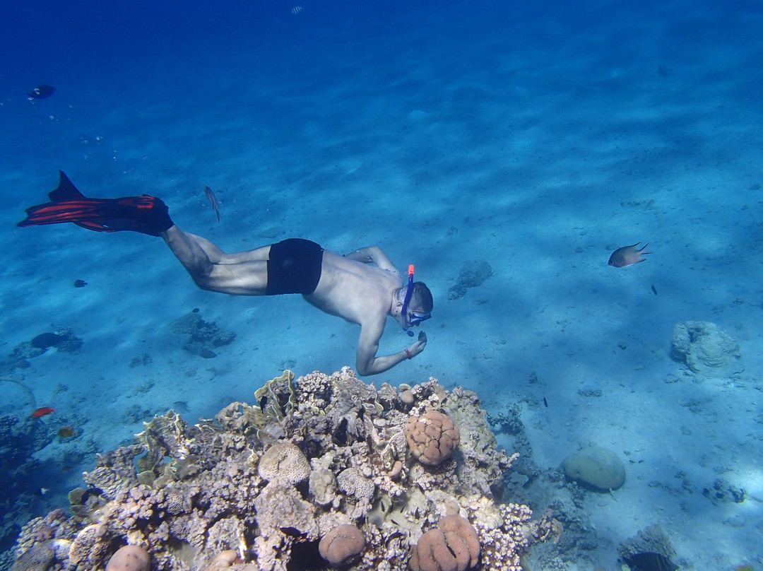 马卡迪绿洲伊波罗度假酒店主图