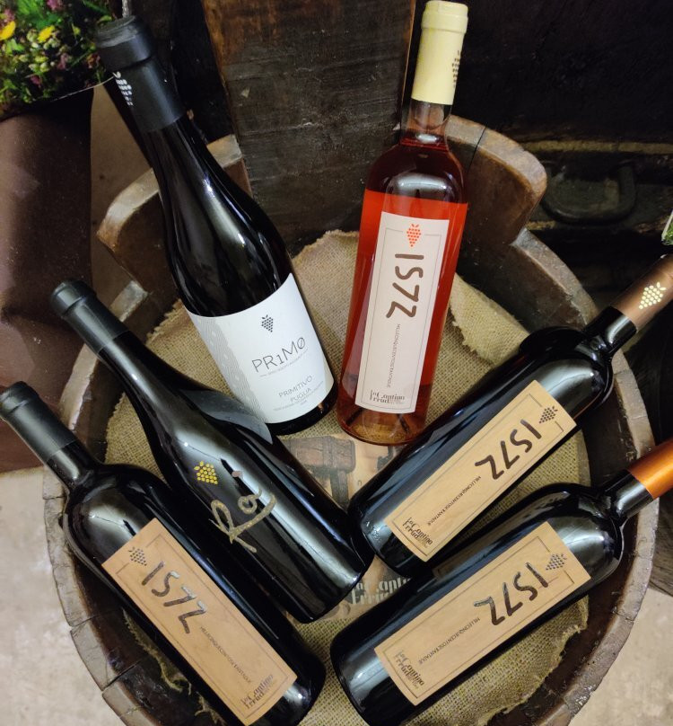 La Cantina Frrud - Museo del Vino-阿尔塔穆拉必去景点