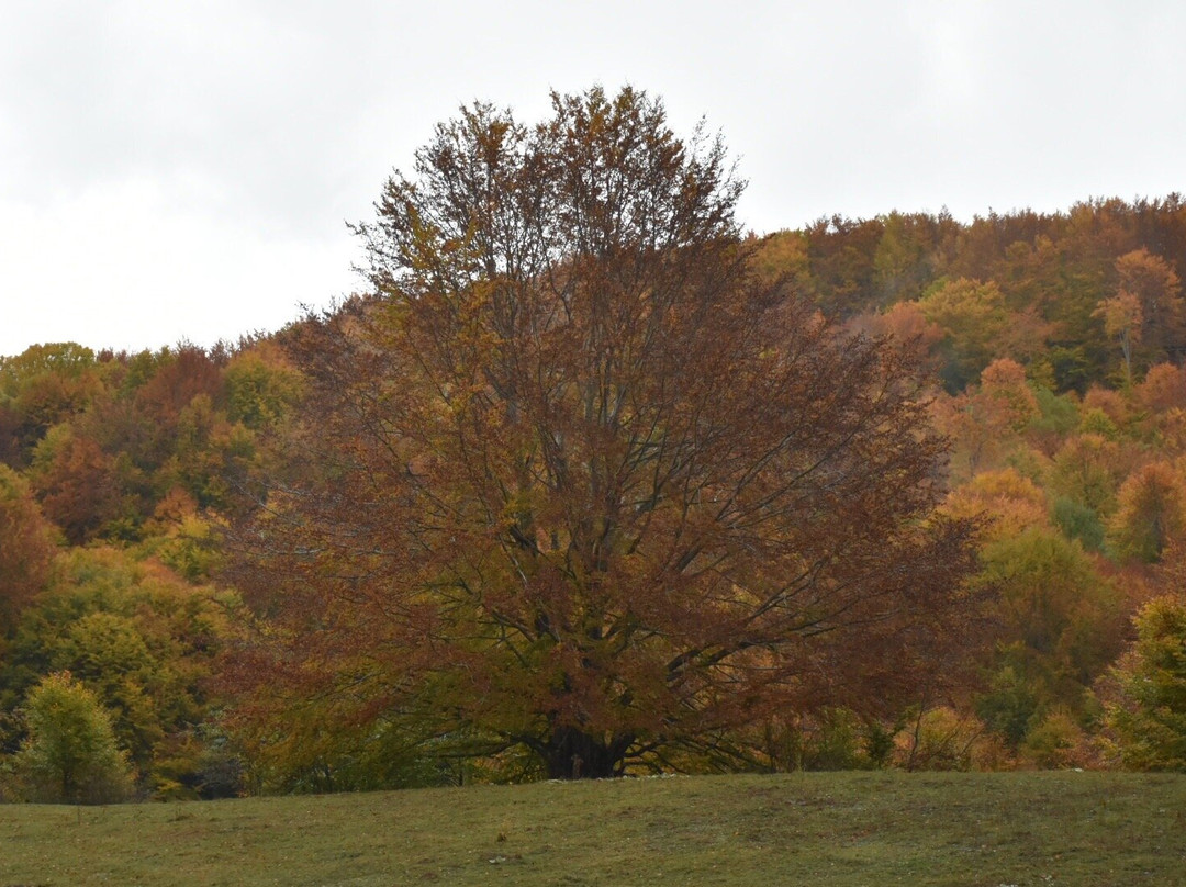 Altopiano di Rascino-Fiamignano必去景点
