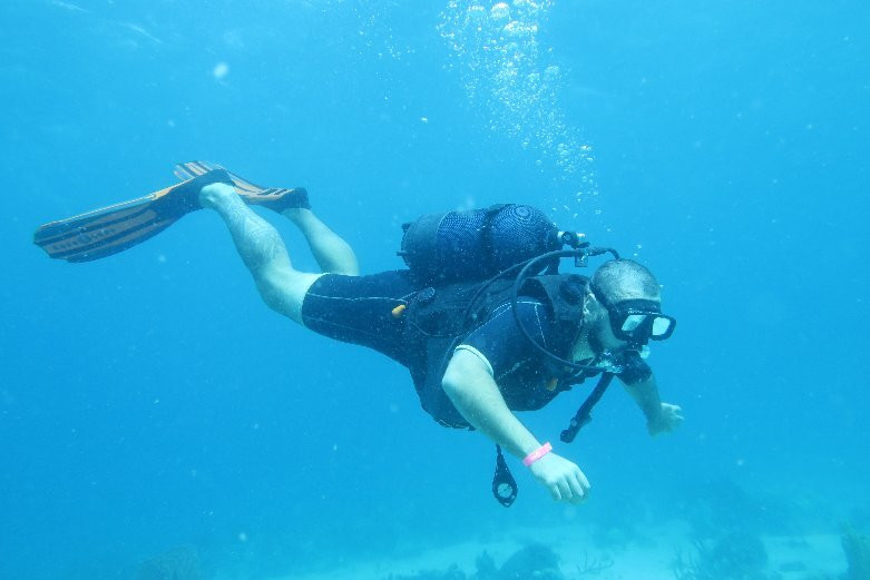 Plongée Immersion Caraibes景点图片
