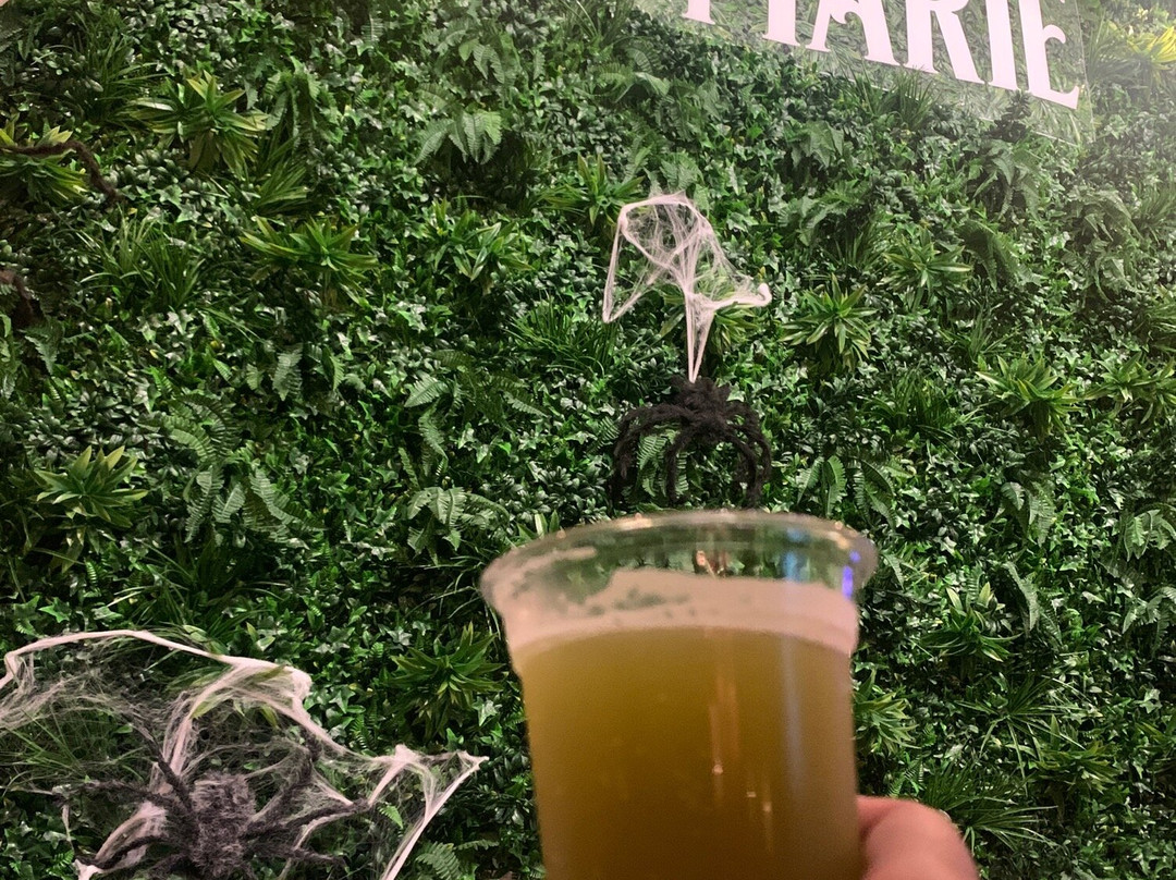Spanish Marie Brewery-迈阿密必去景点