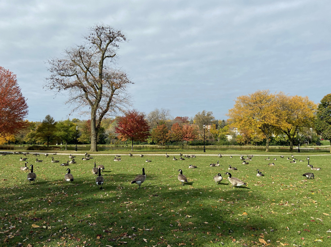 Frame Park-沃基肖必去景点