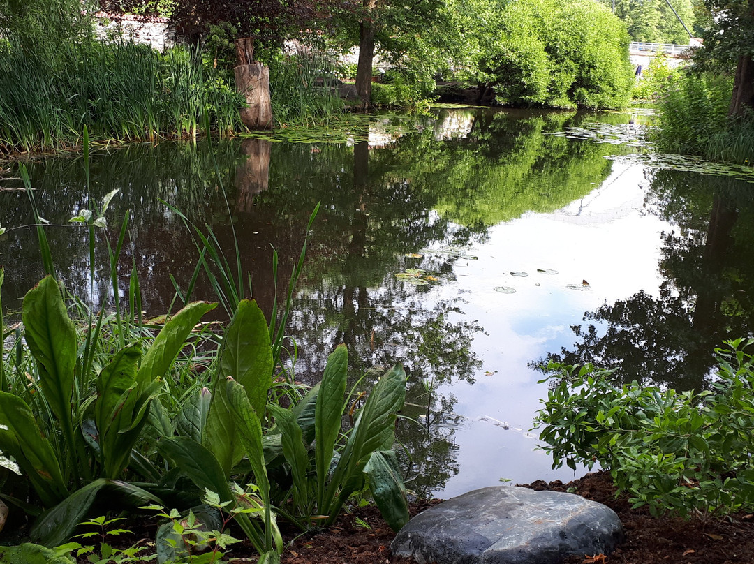 Tartu University Botanical Garden-塔尔图必去景点