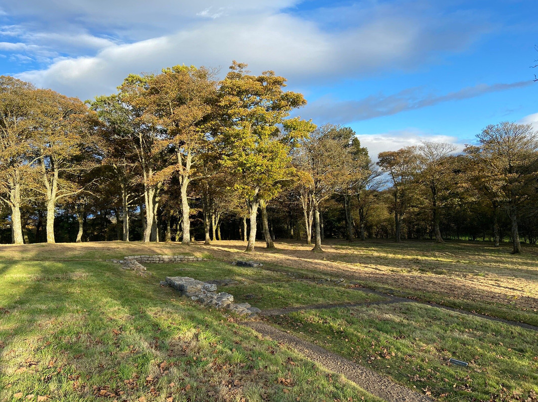 Antonine Roman Wall-福尔柯克必去景点
