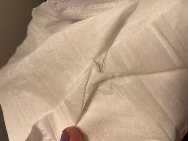 Holiday Inn Salem By IHG主图