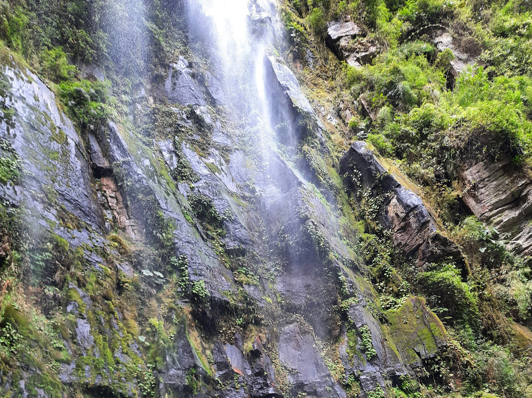 Cascada La Chorrera景点图片