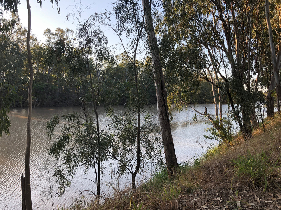 Hotel Theodore主图