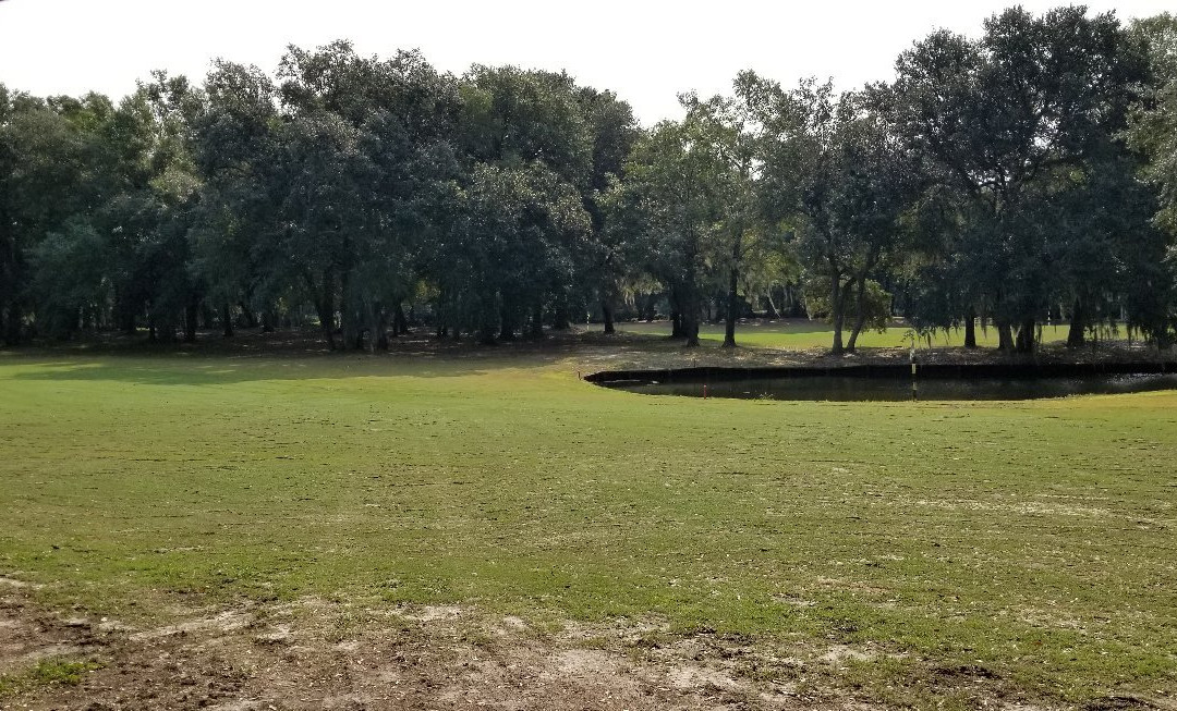 Willbrook Plantation Golf Club景点图片