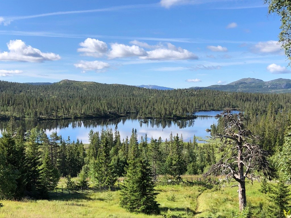 Tuddal Hogfjellshotel-浴室