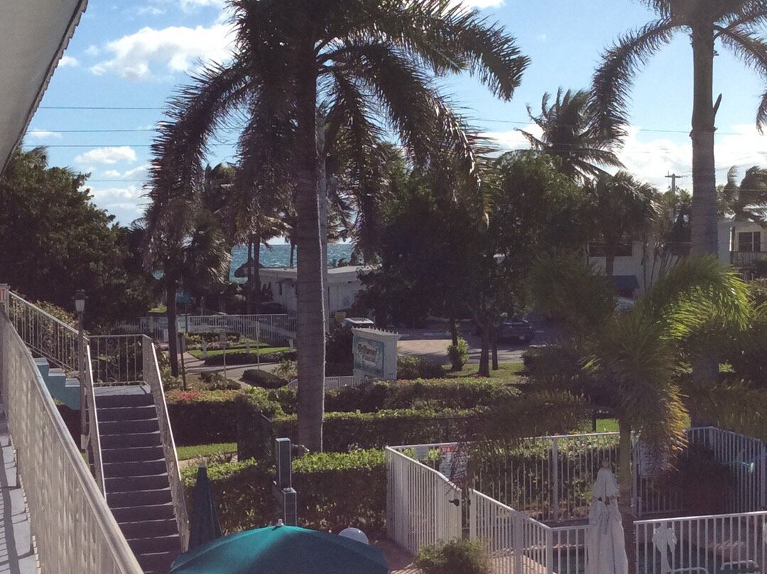 Driftwood Beach Club主图