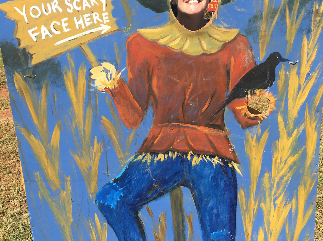 Blue Ridge Mountain MAze-Lovingston必去景点