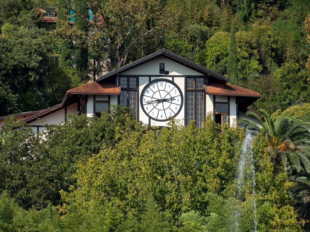 Park Gagra-Gagra必去景点