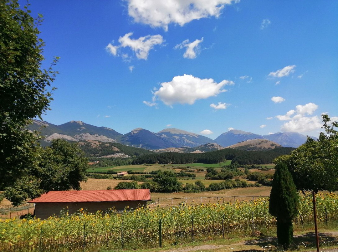 Green House B&B主图