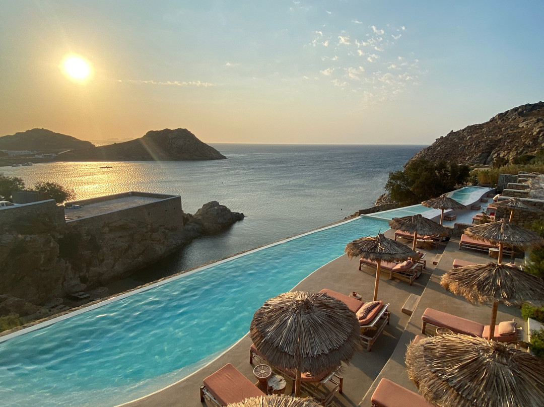 The Wild by Interni主图