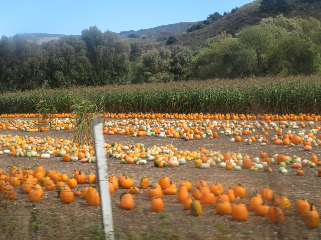Pastorino Farms-半月湾必去景点