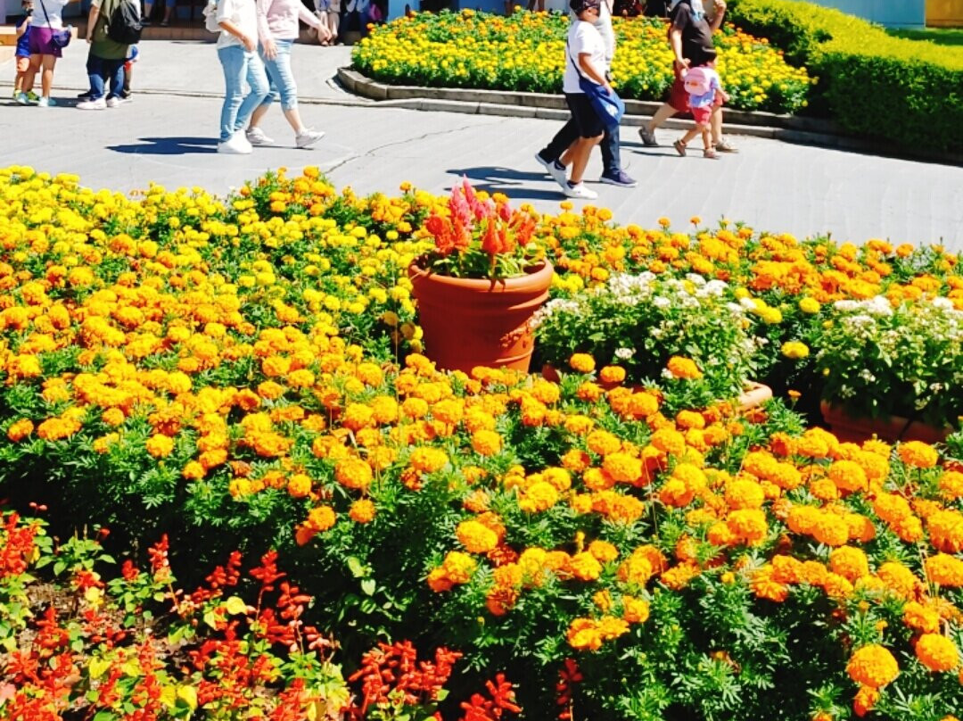 城岛高原公园-别府市必去景点