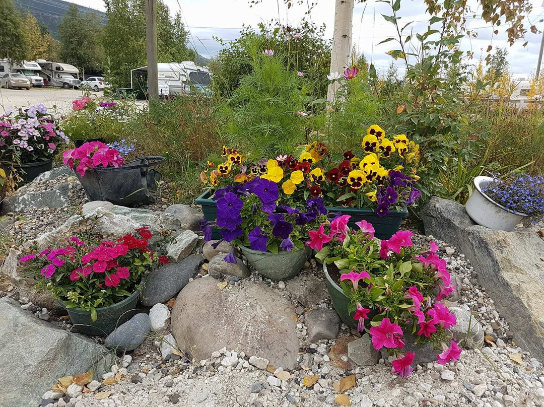 Bonanza Gold Motel and RV Park主图