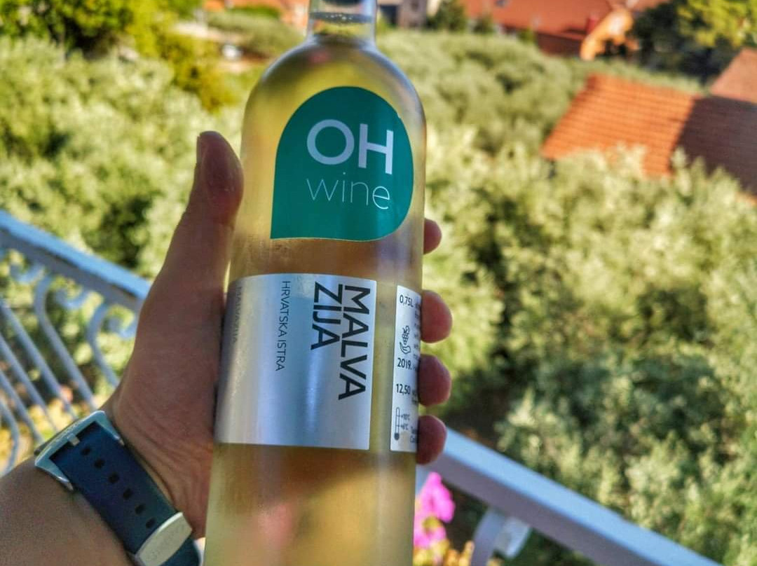 OH Wines-Vizinada必去景点