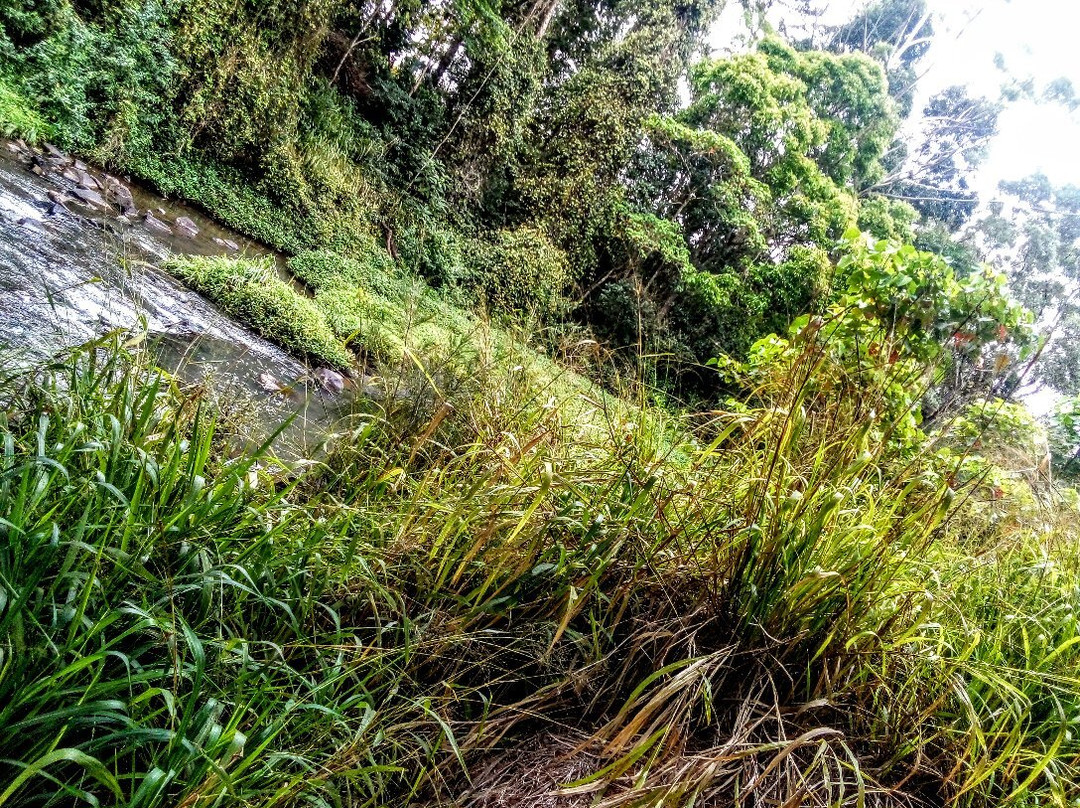 Winfield Park-马兰达必去景点