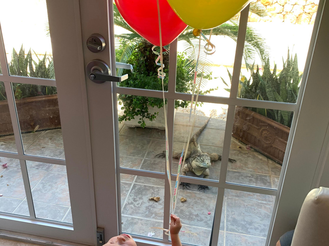 Le Soleil d'Or主图